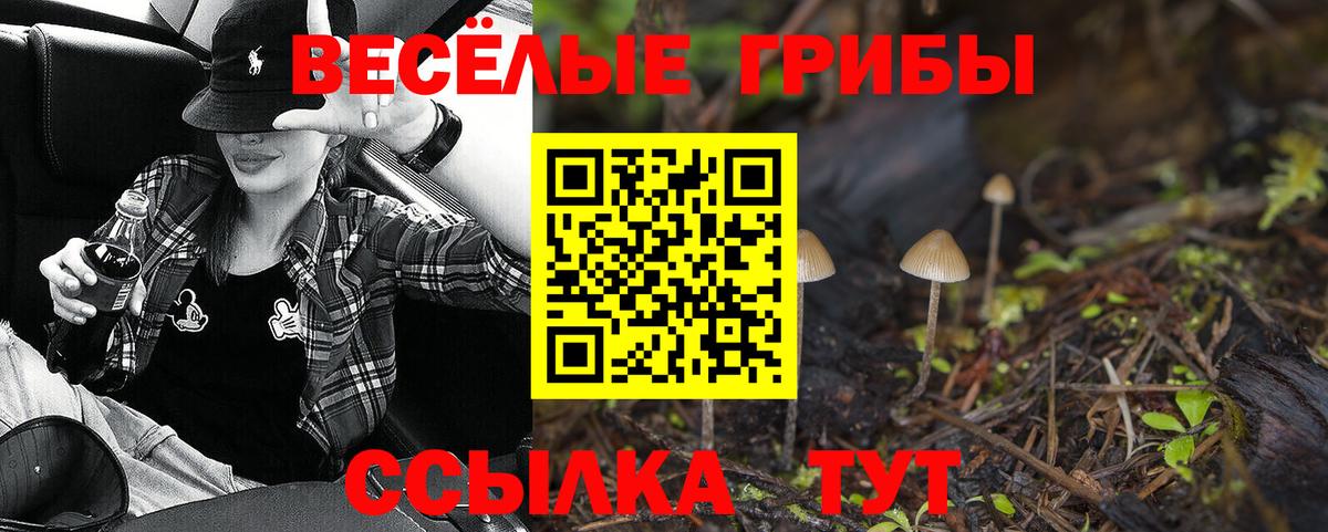 Галлюциногенные грибы Magic Shrooms Киселёвск