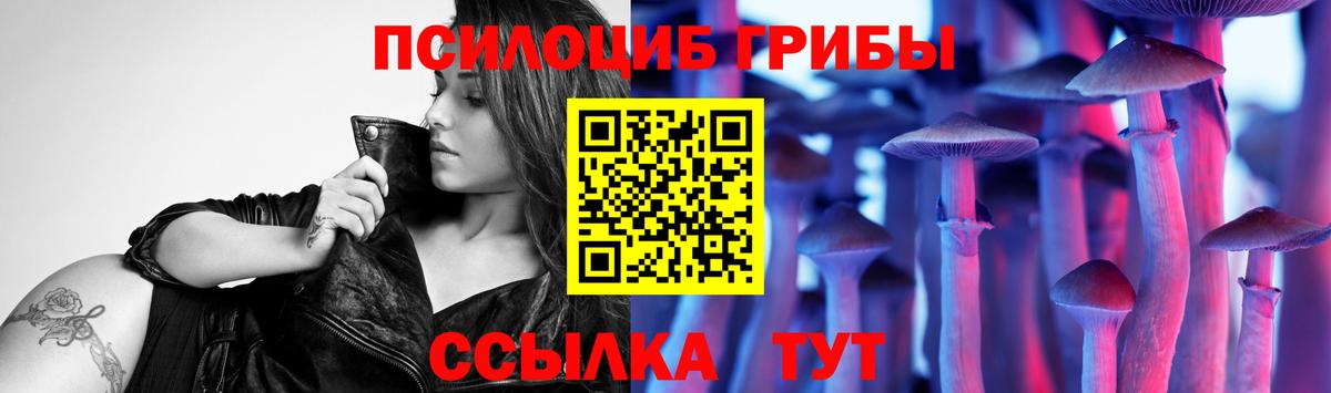 Псилоцибиновые грибы Psilocybine cubensis  Вход с VPN  Киселёвск 